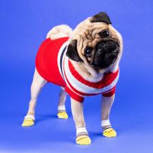 Свитер «Полоски», S (ДС 23, ОШ 23, ОГ 26-45 см), красный