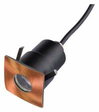 Встраиваемый светильник Lightstar Ipogeo ip384428 Цвет арматуры латунь Цвет плафонов латунь