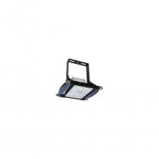 Светодиодные промышленные подвесные светильники серии ДСП 29 предназначены для освещения производственных помещений с высокими потолками, повышенной влажностью и большим содержанием пыли в воздухе, в том числе цехов, складов, крытых спортивных сооружений, а также элементов транспортной инфраструктуры.Светильник не является бытовым электрическим прибором.Светильники позволяют оптимизировать затраты на освещение, благодаря особенностям конструкции и запатентованным технологиям компании ALB;Благодаря возможностям модульной конструкции к исполнению доступны модификации мощностью от 40 до 300Вт с эффективностью модуля до 173 лм/Вт и различными типами КСС, что позволяет выбрать оптимальное решение для проекта освещения; Инновационный легкий корпус из теплопроводящего композита позволяет снизить стоимость;Специально разработанная оптика для освещения производственных и складских помещений позволяет оптимизировать общую потребляемую мощность;Лира с регулировкой угла наклона, возможность накладного и подвесного монтажа;Высокая надежность и срок службы >80 000 часов светильников обеспечена использованием качественных комплектующих, а также набором встроенных защит: от перегрева, повышенного напряжения, короткого замыкания;Встроенная защита от микросекундных скачков напряжения.