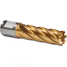 Корончатое сверло Cutrun из серии GOLD-LINE, рабочая длина 55 мм, диаметр сверла 17 мм, хвостовик Weldon19 (универсальный) (артикул HWG55L-12). Сверла изготовлены из высоколегированной стали специального типа HSS-XE, твердость режущих кромок (до 68 HRC). Имеют специальное покрытие Gold-Tech, увеличивающее износостойкость сверла. Имеет комбинированный хвостовик типа Universal/Weldon 19. Используется на магнитных и стационарных сверлильных станках. Сверла Cutrun разработаны и производятся по классическим немецким технологиям, на том же оборудовании, по тем же ISO и даже из тех же сталей. Поэтому они способны полностью заменить привычную европейскую оснастку (такую как корончатые сверла KARNASCH, корончатые сверла FEIN, корончатые сверла Rotabroach) и других производителей (таких как GTOOL, EUROBOOR) аналогичных типоразмеров. Они имеют сопоставимый ресурс, при этом стоимость выполнения отверстий даже выигрывает — за счет отсутствия переплаты за мировой бренд.