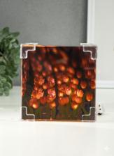 Фигурка-зеркало светящаяся RISALUX «Бесконечные тюльпаны», 3D акрил, 20 цветков, в подарочном пакете, 12x12x12 см