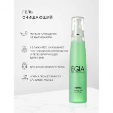 Гель для умывания EGIA Гель очищающий Cleansing Wash 200