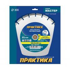 Сегментный алмазный диск Диск алмазный сегментный Мастер (300x25.4/20 мм) ПРАКТИКА 794-777