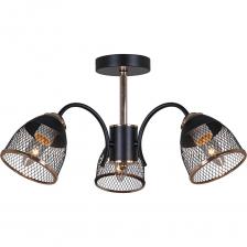 Потолочный светильник Reluce 01505-0.3-03 BK+FGD