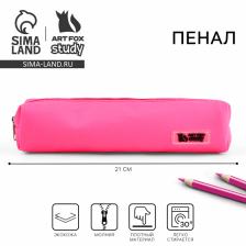 Пенал школьный, искусственная кожа, 21x4x4 см