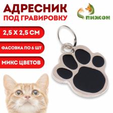 Адресник под гравировку "Лапа", фасовка по 6 шт, 2,5*2,5 см, микс цветов,