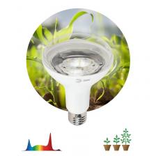 FITO-15W-Ra90-E27 Фитолампа для растений светодиодная ЭРА FITO-15W-Ra90-E27 полного спектра 15 Вт Е27, цена за 1 шт