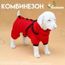 Комбинезон для собак со шлейкой «Моден», размер 16 (ДС 36, ОГ 46, ОШ 35 см), красный