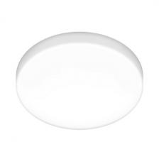 Потолочный светильник круглый светодиодный / Elektrostandard DLS043 DLR043