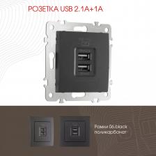 Розетка USB 2.1А+1А Arte Milano 206.46-1.black