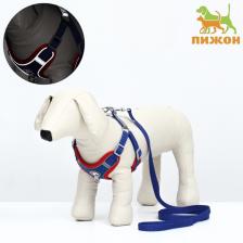 Шлейка с поводком Sport+, размер S, ОШ 39-41 см, ОГ 44-48 см, поводок 150x1.5 с, вес животного 7-13 кг, синяя