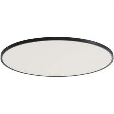 Потолочный светодиодный светильник круглый Donolux Disco DL20171R12W1B