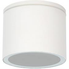 Потолочный светильник уличный Arte Lamp Piautos A1913PF-1WH