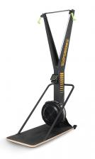 Лыжный тренажер Hasttings EXPERIENCE SKIERG