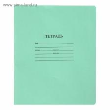 Тетрадь 18 листов в линейку «Зелёная обложка», с алфавитом, плотность 60 г/м?, белые листы, термоупаковка 25 шт.