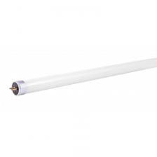 Линейные светодиодные лампы / PLED T5 - 600GL 8w FROST 6500K G5 230V/50Hz (стекло) Jazzwa (5016040), цена за 1 шт.