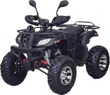 Квадроцикл Grizzly 200