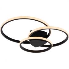 Потолочная люстра с пультом беспроводной светодиодная с пультом регулировкой цветовой температуры и яркости Rivoli Milena 6141-101