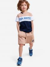 Комплект Playtoday для мальчика: футболка, шорты, Мультицвет