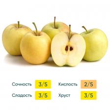 Яблоки свежие российские выгодно 2кг. Доставим до двери!