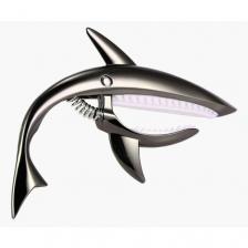 Каподастр Акула чёрный