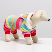 Комбинезон «Радуга» с капюшоном, размер S (ДС 25 см, ОГ 35 см, ОШ 25 см)