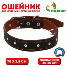 Ошейник кожаный "Строгий шип", 70 х 3,5 см, ОШ 45-60 см, чёрный