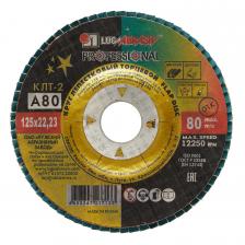 Круг лепестковый по металлу/древесине Луга Professional 125х22,2 мм P80 торцевой