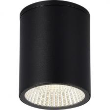 Потолочный уличный светильник ST-Luce Tubo SL9514.412.01 черный/белый LED 1*12W ST Luce
