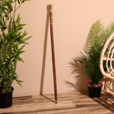 Трость, 93 см, дерево шишам