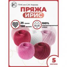 Пряжа для вязания Ирис 25гр 150м 5шт.
