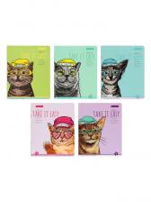 Тетрадь Альт «EASY LIFE.КОТЫ», 48 листов, в клетку, МИКС