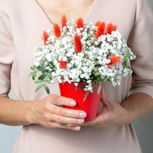 Букет живых цветов ЛЭТУАЛЬ FLOWERS Аврора