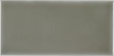 ПЛИТКА STUDIO ADST1013 Liso Eucalyptus