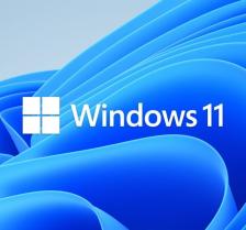 Лицензия OEM Windows 11 Pro for Workstations 64-bit Russian 1pk DSP OEI DVD HZV-00120