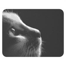 Коврик для мыши Black Kitten S, 250x200x2 мм, полиэстер (HI-RB-MP001)