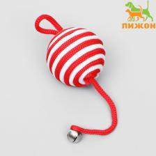 Шар-погремушка с петелькой, 5.5 см, микс цветов