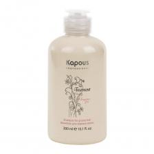 Шампунь для жирных волос Profilactic