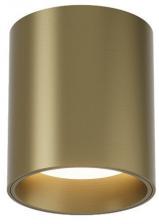 Потолочный светильник Denkirs SHINE TUBE DK2610-SB