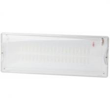 Аварийный светильник светодиодный ЭРА DPA-301-1-65