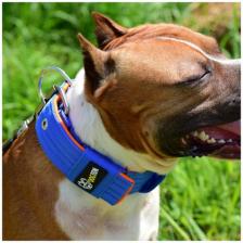 Ошейник для собак DOGTON. Широкий ошейник 5.5 см. Ручная работа. Премиум качество. Сварная фурнитура. Обхват шеи 43-57