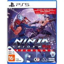 Игра для PS5 Ninja Gaiden: Ragebound