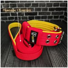 Комплект DOGTON ошейник и поводок 1.5 метра. Для собак средних и крупных пород. Ширина ошейника 5.5 см. Обхват шеи 43-57 см. Цвет красный с желтым.