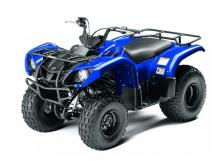 Квадроцикл Grizzly 125