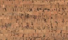 Пробка на стену Corkstyle, коллекция Wall Design, СW-2 «Costa»