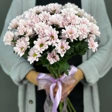 Букет живых цветов 4 СЕЗОНА Монобукет из 15 розовых кустовых хризантем