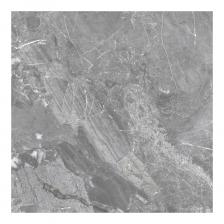 Коллекция Greiny — керамогранит с текстурой египетского мрамора Имперадор, которая выглядит изысканно, при этом имеет высокую функциональность и надежность, выглядит натурально и гармонично впишется в современный интерьер. Матовая поверхность керамогранита максимально реалистично раскрывает рисунок этого камня. По мнению дизайнеров, керамогранит под камень сегодня невероятно актуален как для интерьерных, так и для экстерьерных решений.