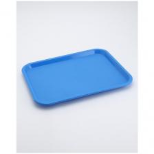 Поднос пластиковый 455х355х25 мм