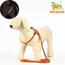 Шлейка с поводком «Косточки», ОШ 24-40 см, ОГ 24-40 см, ошейник 120x1 см, светоотражающая, оранжевая