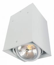 Накладной светильник Arte Lamp Cardani A5936PL-1WH
